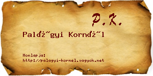 Palágyi Kornél névjegykártya